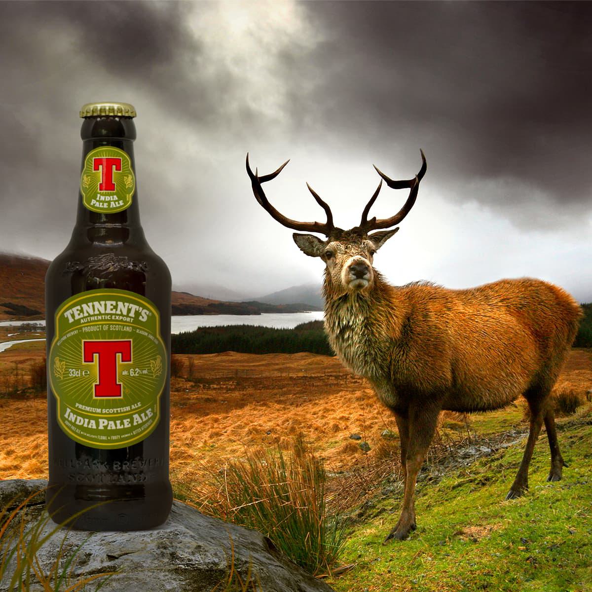 Birra Tennent's India Pale Ale