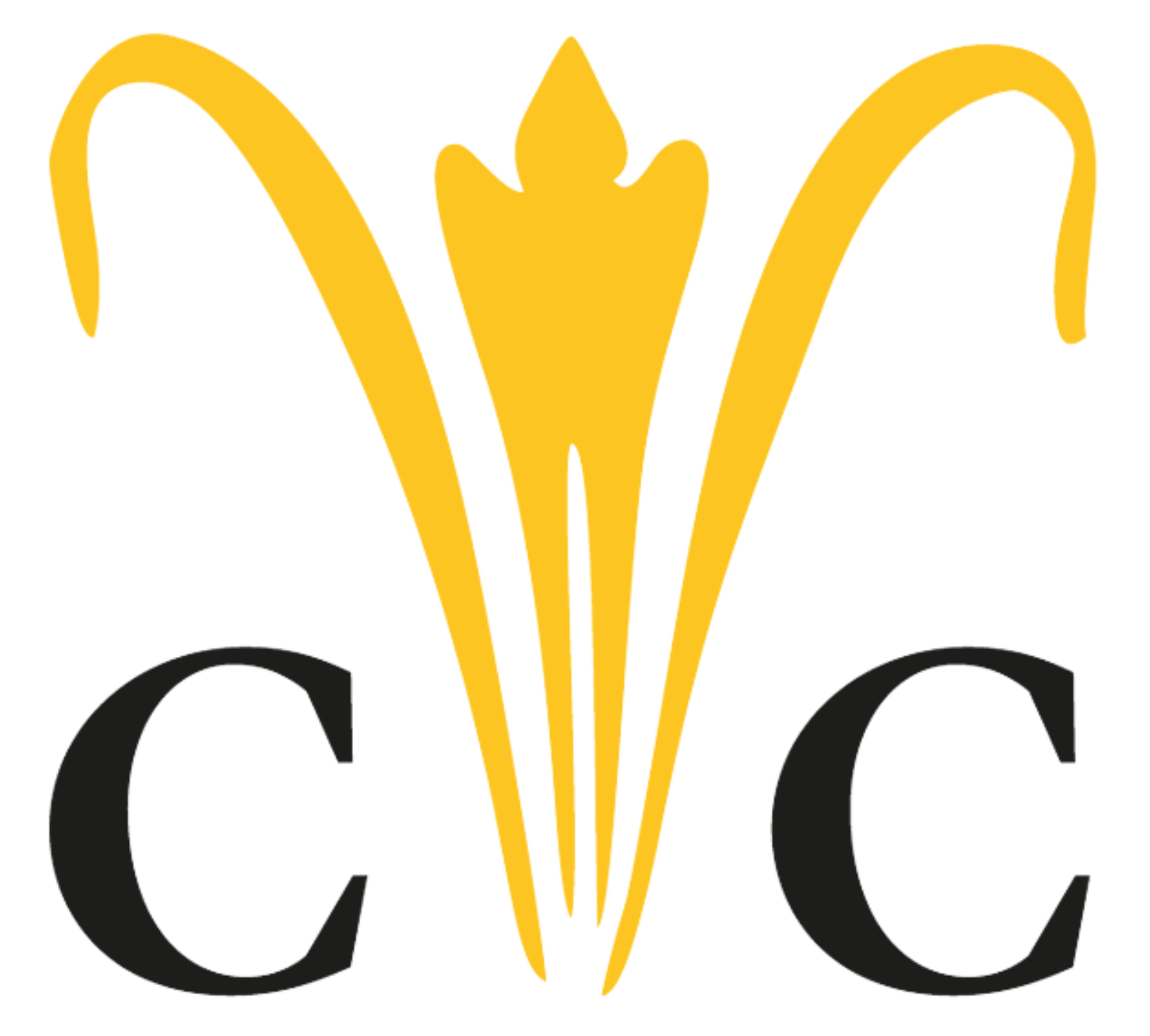 Logo C&C